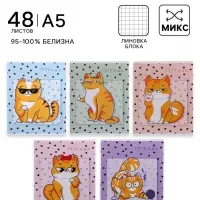 Тетрадь 48 листов в клетку, Calligrata &laquo;Коты&raquo;, МИКС