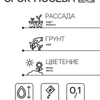 Семена Нивяник Серебряная принцесса 0.1г*