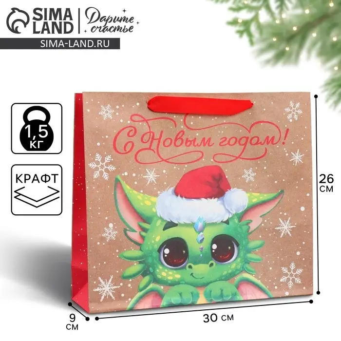 Пакет подарочный новогодний крафтовый «Милый дракон», M 30 х 26 х 9 см Пакет подарочный новогодний крафтовый «Милый дракон», M 30 х 26 х 9 см
