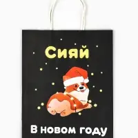Пакет бумажный подарочный новогодний крафт &laquo;Сияй&raquo;, 27&times;21&times;11 см