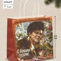 Пакет подарочный &laquo;Новый год, Ирония судьбы&raquo;, Мосфильм, 22&times;22&times;11 см, крафт