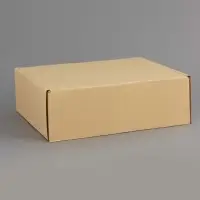 Коробка складная «Бежевая», для подарков, хранения и отправки посылок, 27×21×9 см Коробка складная «Бежевая», для подарков, хранения и отправки посылок, 27×21×9 см