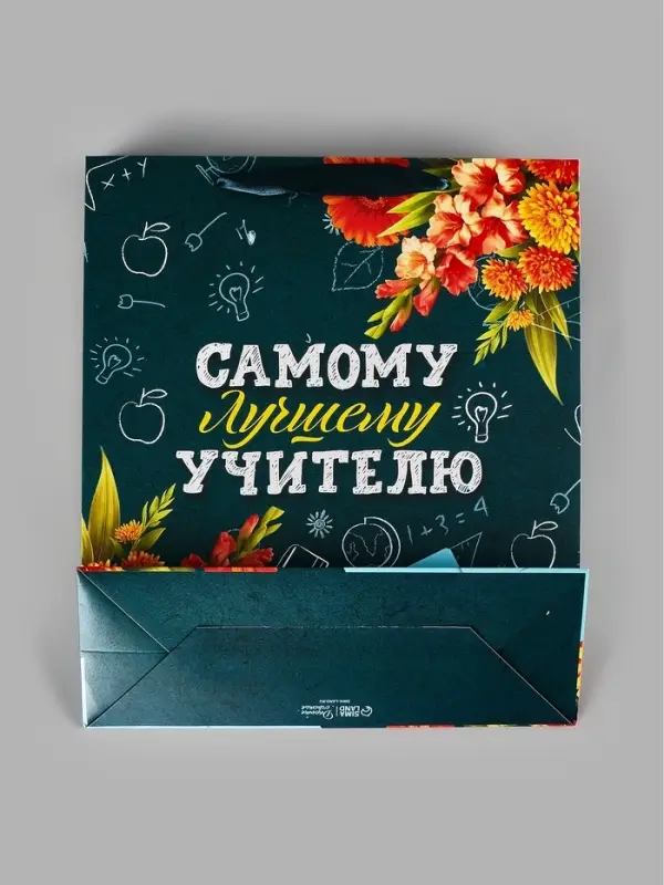 Пакеты подарочные &laquo;Учителю&raquo;, набор 3 шт., 26&times;30&times;9 см