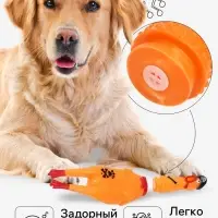 Игрушка пищащая &laquo;Курица пират&raquo; для собак, 28 см, жёлтая