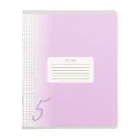 Комплект тетрадей из 10 штук, 24 листа в клетку Calligrata "Пятёрка", обложка мелованный картон, ВД-лак, блок офсет, 5 видов по 2 штуки