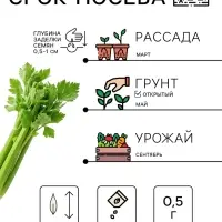 Семена Сельдерей &laquo;черешковый Атлант&raquo;, 0.5 г, &laquo;Рецепты дедушки Никиты&raquo;
