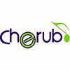 Тюнер Cherub WST-630G  цифровой на прищепке гитарный