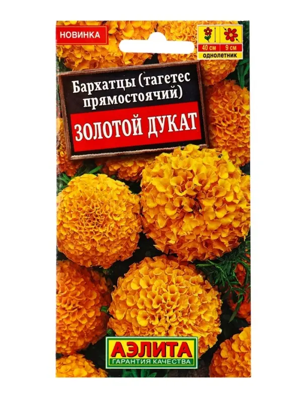 Семена цветов Бархатцы Золотой дукат прямостоячие , Ц/П,7 шт. Семена цветов Бархатцы Золотой дукат прямостоячие , Ц/П,7 шт.