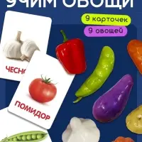 Обучающий набор по методике Г. Домана &laquo;Овощи&raquo;: 9 карточек + 9 овощей, счётный материал