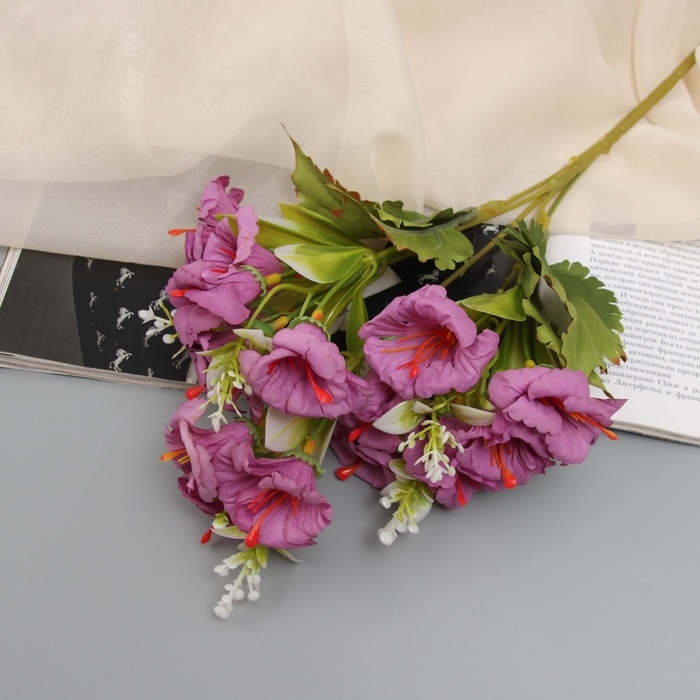 Букет Букет "Радермахера" 30 см, микс