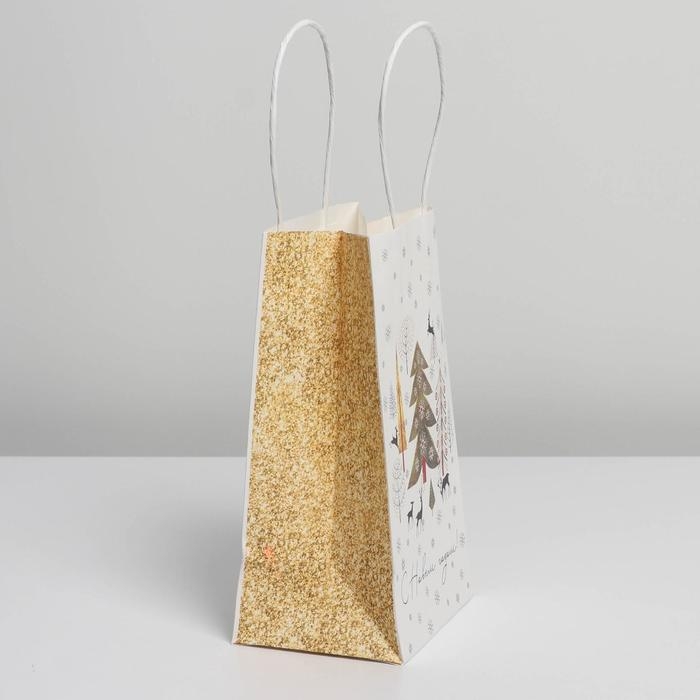 Пакет подарочный новогодний крафтовый «Сказка», 12 х 21 х 9 см, Новый год Пакет подарочный новогодний крафтовый «Сказка», 12 х 21 х 9 см, Новый год