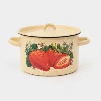 Кастрюля эмалированная, 2.9 л, d=20 см, с крышкой, деколь МИКС, ручка МИКС