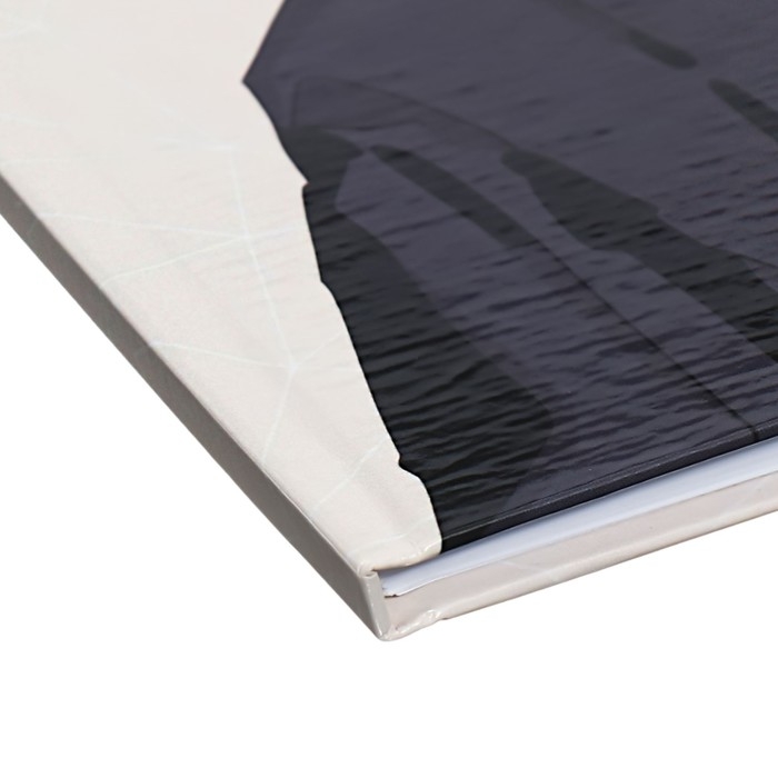 Дневник универсальный для 1-11 классов Дневник универсальный для 1-11 классов "Аниме. Парень и небо", твёрдая обложка, глянцевая ламинация, 40 листов