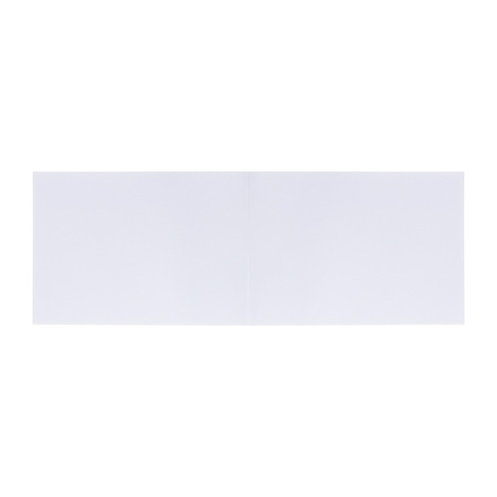 Альбом для рисования А4, 20 листов на клею ErichKrause Birds, обложка мелованный картон, жёсткая подложка, блок 120 г/м2