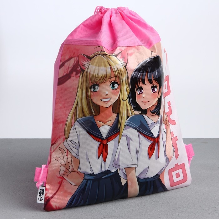 Мешок для обуви «Школьницы» полиэстер, размер 30 х 40 см Мешок для обуви «Школьницы» полиэстер, размер 30 х 40 см