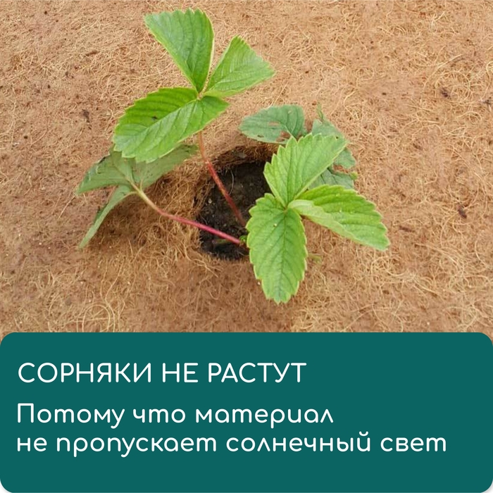 Круг приствольный, d = 0,25 м, из кокосового полотна, Greengo Круг приствольный, d = 0,25 м, из кокосового полотна, Greengo
