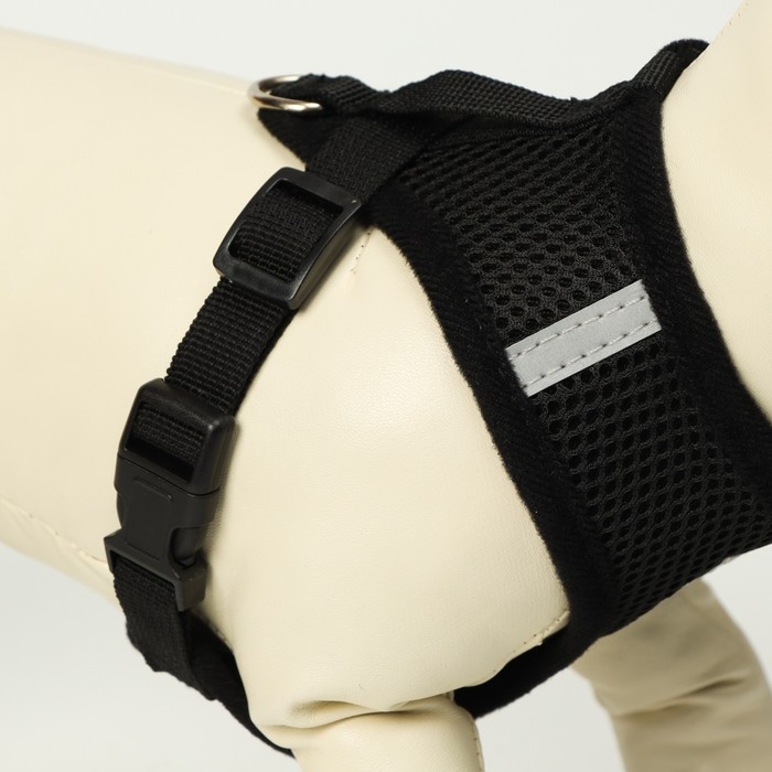 Комплект амуниции с мягкой шлейкой и светоотражающей нашивкой, M, ОШ 26 см, ОГ 36-44 см, чёрный 7614 Комплект амуниции с мягкой шлейкой и светоотражающей нашивкой, M, ОШ 26 см, ОГ 36-44 см, чёрный 7614