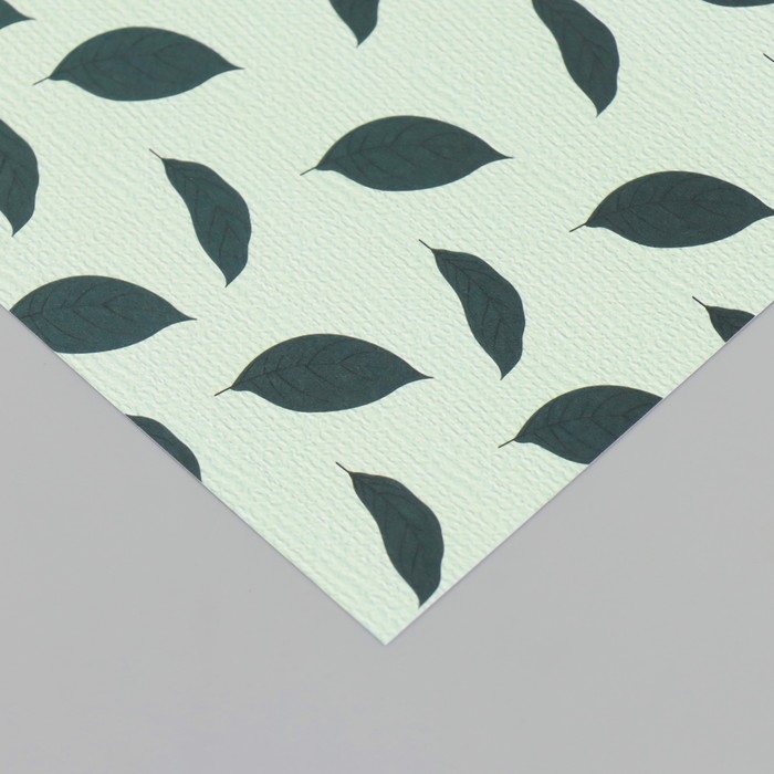 Бумага для скрапбукинга двусторонняя Бумага для скрапбукинга двусторонняя "Авокадо" плотность 180 гр набор 10 шт 15,5х17 см