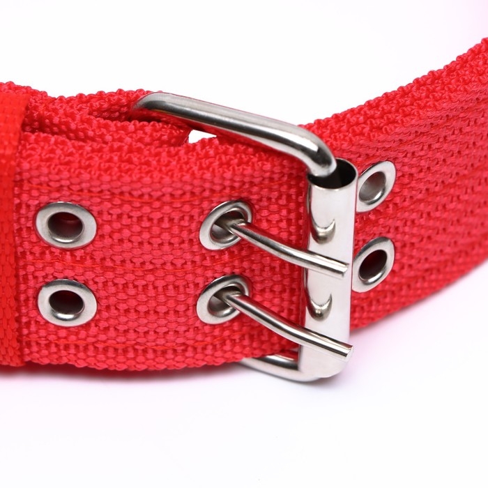 Ошейник четырехслойный с вертлюгом, 65 х 4 см, ОШ 54-60 см, полиэстер, красный Ошейник четырехслойный с вертлюгом, 65 х 4 см, ОШ 54-60 см, полиэстер, красный