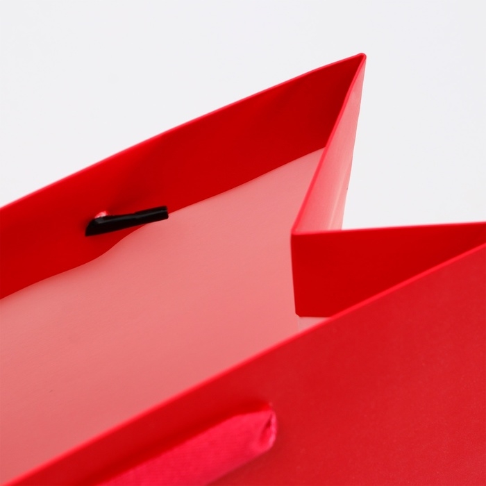 Пакет ламинированный «Фуксия», MS 18 × 23 × 10 см