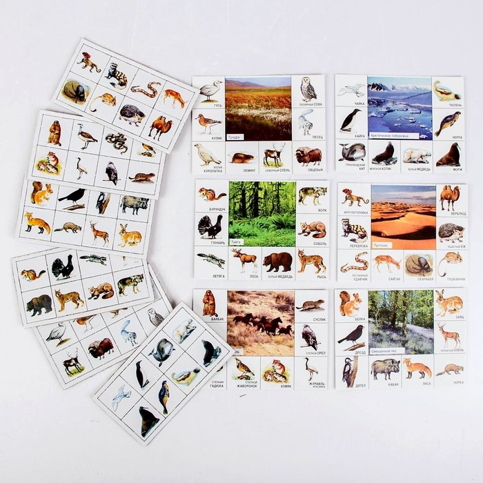 Лото детское» Кто где живёт?», МИКС Лото детское» Кто где живёт?», МИКС