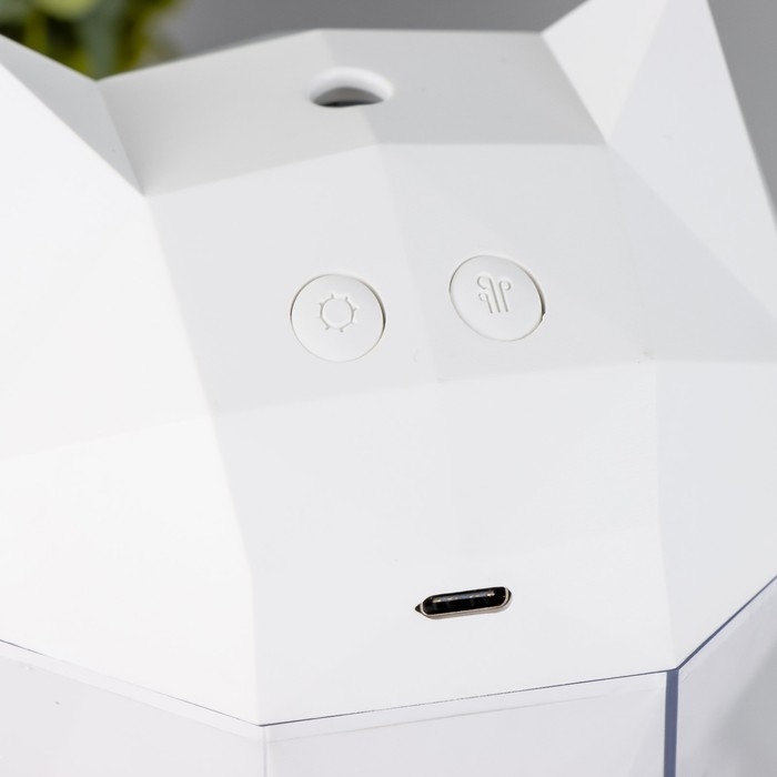 Ночник с увлажнителем Котик LED USB АКБ белый 10х10х16,2 см RISALUX