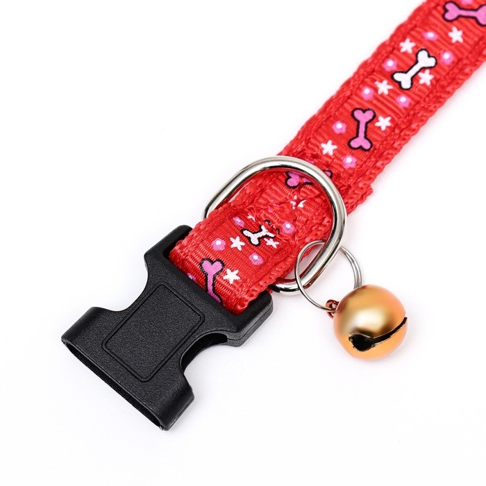 Ошейник нейлоновый Ошейник нейлоновый "Звездные косточки", 36 х 1,5 см, красный