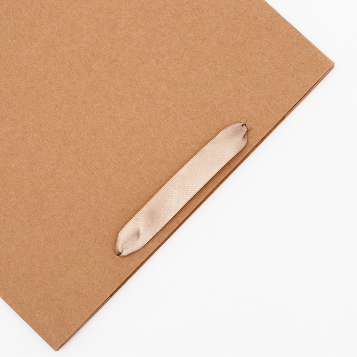 Пакет крафт без печати, 27 х 10 х 21 см 260 г/м2 Пакет крафт без печати, 27 х 10 х 21 см 260 г/м2