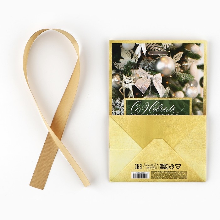 Пакет подарочный новогодний с лентой «Зима», 13 х 19 х 9 см Пакет подарочный новогодний с лентой «Зима», 13 х 19 х 9 см