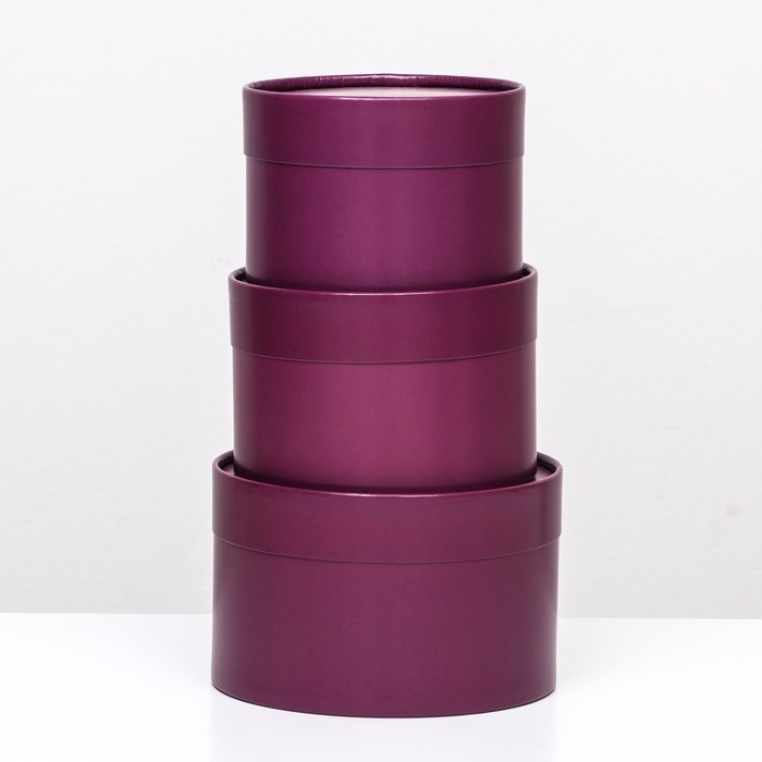 Набор шляпных коробок 3 в 1, темно-сиреневый, 16 х 10,5 х 9,13 х 8,5 см Набор шляпных коробок 3 в 1, темно-сиреневый, 16 х 10,5 х 9,13 х 8,5 см