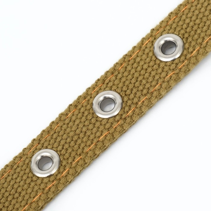 Ошейник брезентовый двухслойный, 52 х 2 см, песочный Ошейник брезентовый двухслойный, 52 х 2 см, песочный