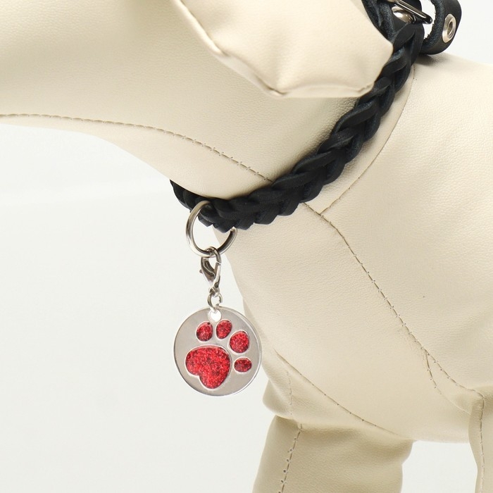 Адресник под гравировку Адресник под гравировку "Блестящая лапка" с карабином, 2,2 см, красный