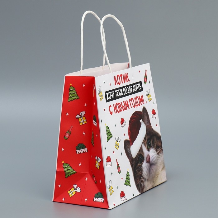 Пакет подарочный новогодний крафтовый «Котик», 22 х 22 х 11 см, Новый год Пакет подарочный новогодний крафтовый «Котик», 22 х 22 х 11 см, Новый год