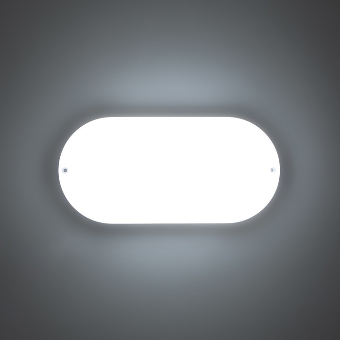Светильник "Овал" LED 20Вт IP65 белый 6,8х13,5х27 см