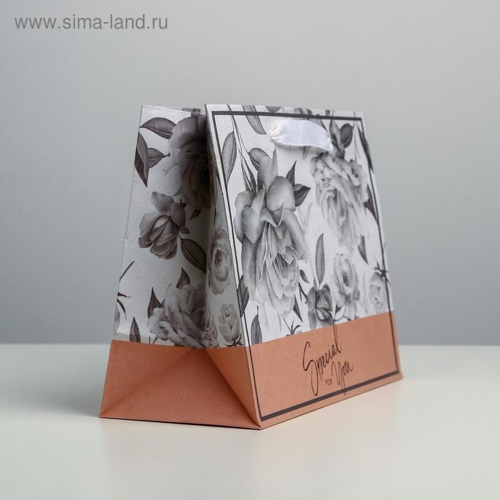 Пакет подарочный крафтовый горизонтальный, упаковка, «Special for you», MS 23 х 18 х 10 см Пакет подарочный крафтовый горизонтальный, упаковка, «Special for you», MS 23 х 18 х 10 см
