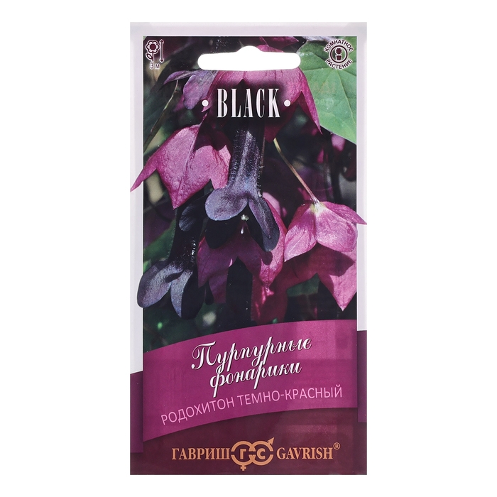 Семена Родохитон  Семена Родохитон "Пурпурные фонарики", 4 шт.