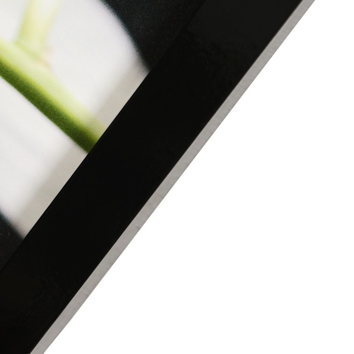 Картина  Картина "Орхидея на камнях" 47*127 см