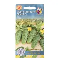 Семена огурца "Димка", F1, 10 шт. Семена огурца "Димка", F1, 10 шт.