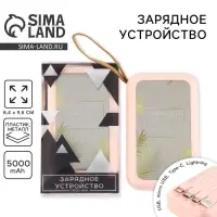 Зарядное устройство Harmony, 5000мА, мод. PB-02, 10.4&times;6.4 см