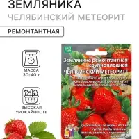 Семена Земляника &laquo;Челябинский метеорит&raquo;, 10 шт., ремонтантная, крупноплодная, &laquo;Уральский дачник&raquo;