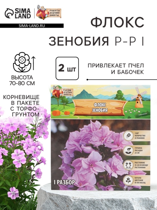 Флокс «Зенобия» корневище в пакете с торфогрунтом, р-р I, 2 шт.