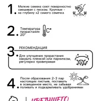 Семена цветов Обриета гибридная &laquo;Голубой каскад&raquo;, 0.03 г, многолетник, &laquo;Семена Алтая&raquo;