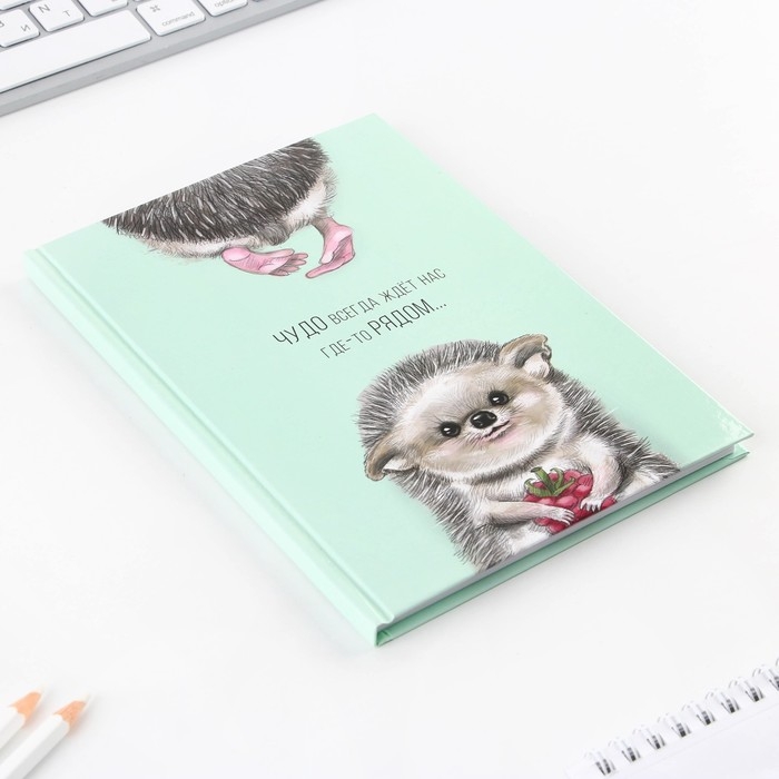 Ежедневник  Ежедневник "Чудо рядом", твёрдая обложка, А5, 80 листов