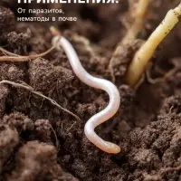 Средство от болезней растений &laquo;Флагрин-Д&raquo; (Нематодин), 100 г