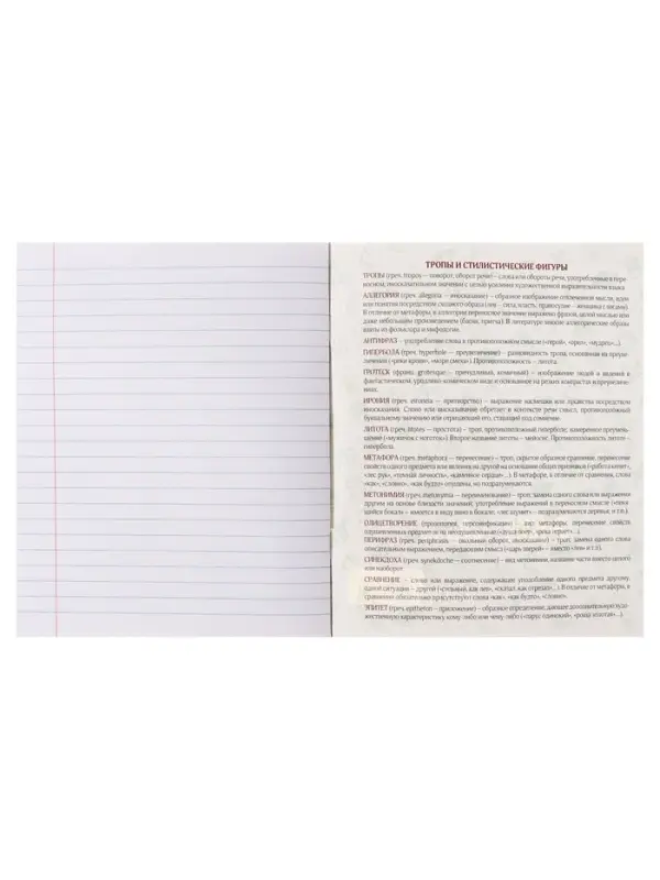 Тетрадь предметная 48 листов в линейку Calligrata, &laquo;Кеды. Литература&raquo;, картонная обложка