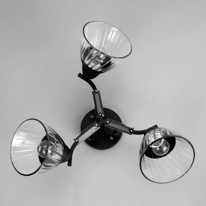 Люстра потолочная Люстра потолочная "Аррон" E27 3х40Вт черный 49х49х24см