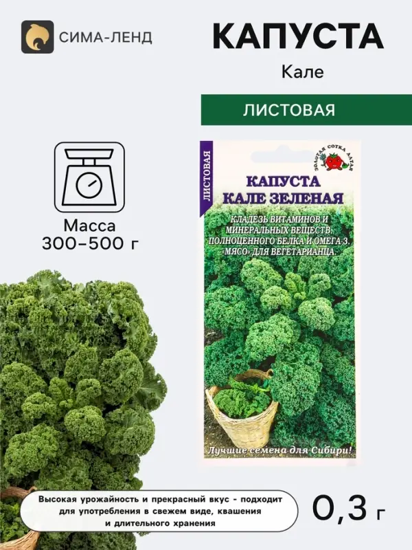 Семена Капуста &laquo;Кале зелёная листовая&raquo;, 0.3 г, &laquo;Золотая Сотка Алтая&raquo;