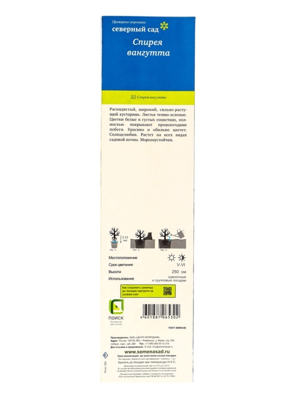 Спирея Вангутта (Серия Северный сад), саженец, туба, 1 шт. Спирея Вангутта (Серия Северный сад), саженец, туба, 1 шт.