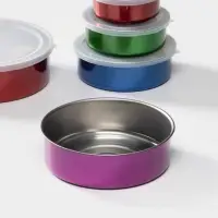 Набор контейнеров из нержавеющей стали &laquo;Радуга&raquo;, 5 шт.: d=18/16/14/12/10 см, с крышками, МИКС