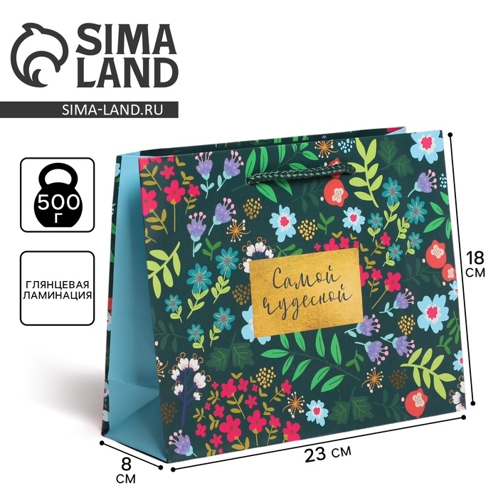 Пакет подарочный ламинированный, упаковка, «Present for you», MS 23 х 18 х 8 см Пакет подарочный ламинированный, упаковка, «Present for you», MS 23 х 18 х 8 см